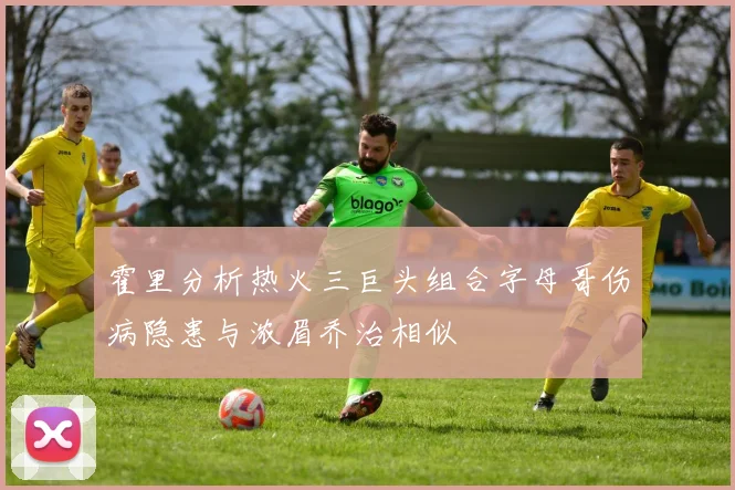 霍里分析热火三巨头组合字母哥伤病隐患与浓眉乔治相似