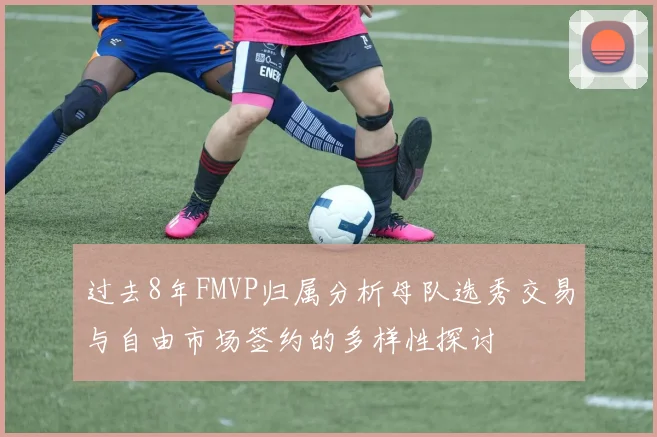 过去8年FMVP归属分析母队选秀交易与自由市场签约的多样性探讨