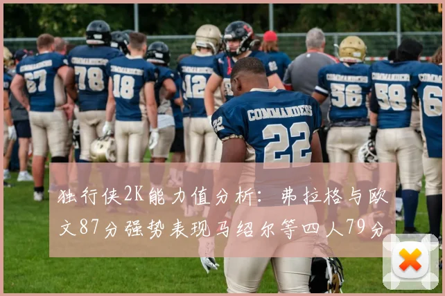 独行侠2K能力值分析：弗拉格与欧文87分强势表现马绍尔等四人79分展现潜力